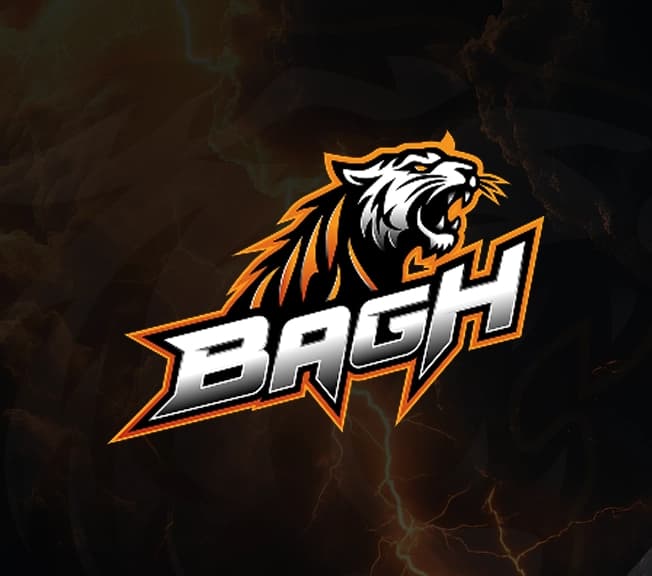 Bagh